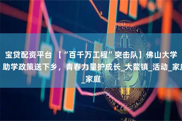 宝贷配资平台 【“百千万工程”突击队】佛山大学：助学政策送下乡，青春力量护成长_大鳌镇_活动_家庭